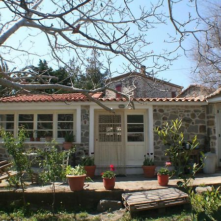 Hotel Arcadia Eressos Zewnętrze zdjęcie