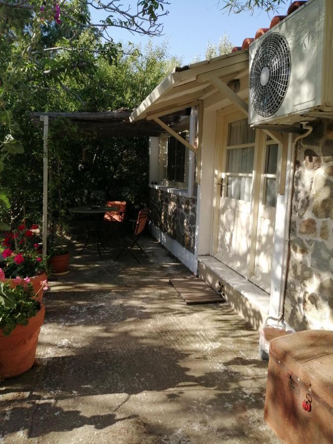 Hotel Arcadia Eressos Zewnętrze zdjęcie