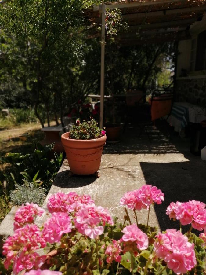 Hotel Arcadia Eressos Zewnętrze zdjęcie