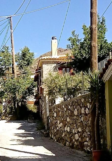 Hotel Arcadia Eressos Zewnętrze zdjęcie