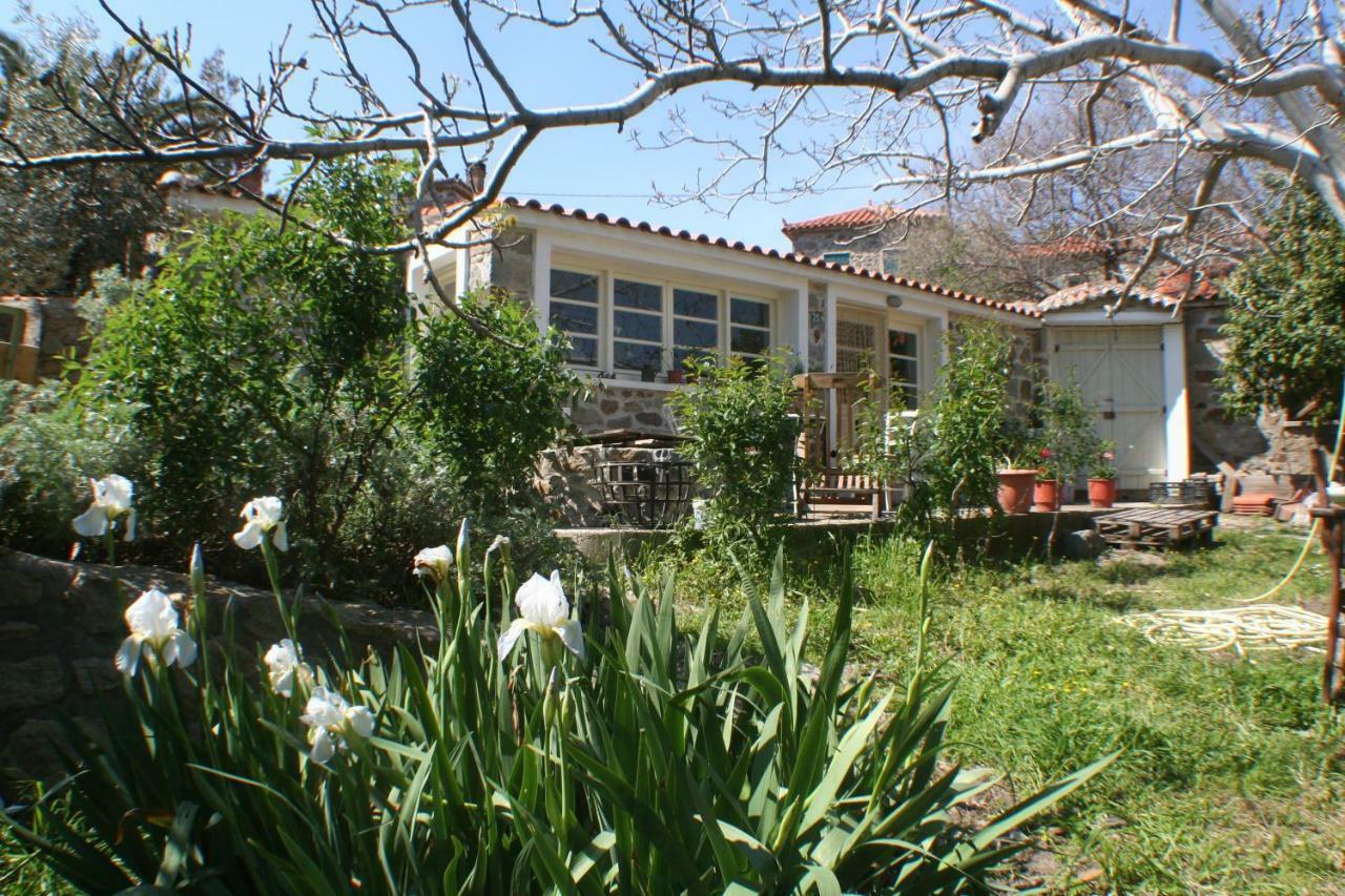 Hotel Arcadia Eressos Zewnętrze zdjęcie