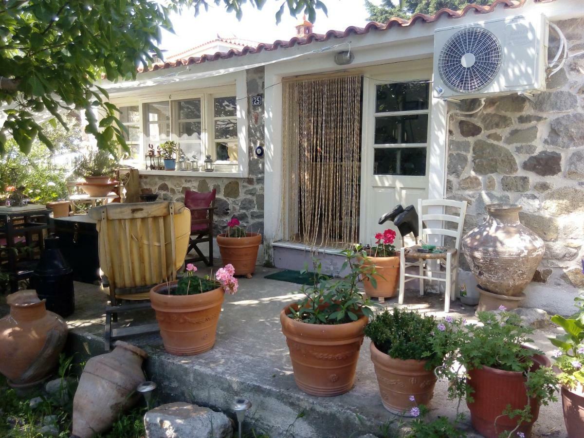 Hotel Arcadia Eressos Zewnętrze zdjęcie