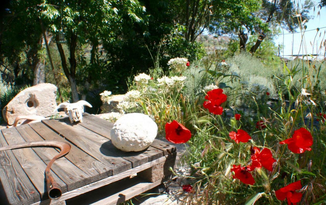 Hotel Arcadia Eressos Zewnętrze zdjęcie